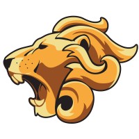 Lion Attitude Leadership Consulting, LLC logo - Similar company to Brainkraft