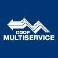 MULTISERVICE S.c.r.l. logo - Similar company to Flash Commerce Srl