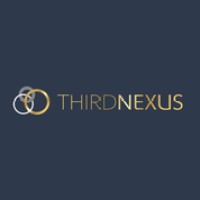 Third Nexus Group Ltd logo - Similar company to Lantern Fly Projects