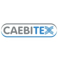 CAEBITEX logo - Similar company to Lamatex