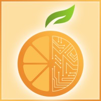 CitrusTek logo - Similar company to Citrustech
