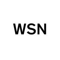 WSN logo - Similar company to Wsn It Consulting