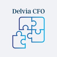 Delvia CFO logo - Similar company to Nextgen Cfo