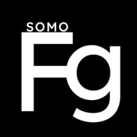 Somo Financial Group logo - Similar company to Bbig Communications Inc.