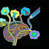 Facilitation Graphics by Greg T. Whicker