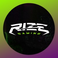Rize Gaming Pro logo - Similar company to Cube 6 It Ltd