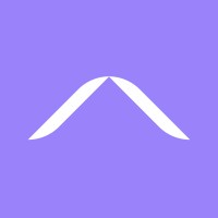 AKIENI ACADEMY logo - Similar company to Silicone Connect