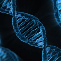 BioCentic logo - Similar company to Mbiomics Llc