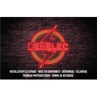Debelec SRL logo - Similar company to Sarl Debelec