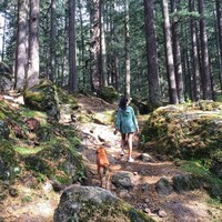 Hikers Lane logo - Similar company to Hikers