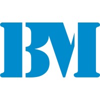 B&M Global Solutions logo - Similar company to It Consulting Trainers