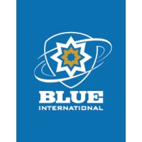 Blue International logo - Similar company to Castleton Capital