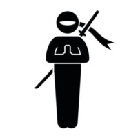 Ninja Design Solutions logo - Similar company to Dynamic Communications Consulting