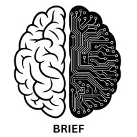Brief-dz logo - Similar company to Dzdia