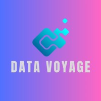 Data Voyage logo - Similar company to Data Voyage Solutions