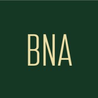 Bright & Associates logo - Similar company to Slaynetwork Trading
