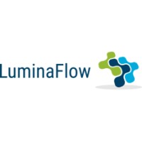 LuminaFlow logo - Similar company to Convertic.Ai