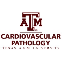 Texas A&M Cardiovascular Pathology Laboratory (CVPath) logo - Similar company to Asaio