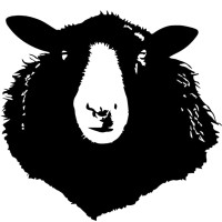 Black Sheep Casting logo - Similar company to Scout 22