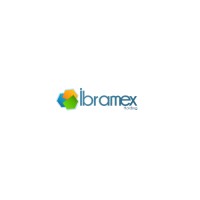 Ibramex Holding logo - Similar company to Soa2I