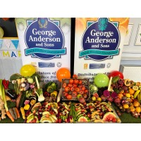 George Anderson & Sons