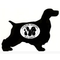 Cockersydväst logo - Similar company to Senergia Charge