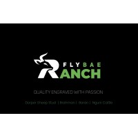 FlyBae Ranch logo - Similar company to The Village Surgery