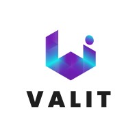 Valit logo - Similar company to Drubu