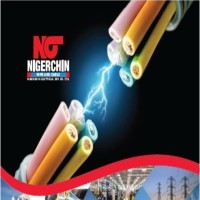 NIGERCHIN ELECTRICAL DEVELOPMENT COMPANY LIMITED logo - Similar company to Cometstar Group