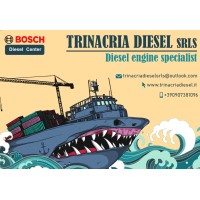 TrinacriaDiesel srls logo - Similar company to Ce.Di.R. Srl