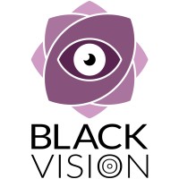 Black Vision Brasil logo - Similar company to Impacto Por Elas