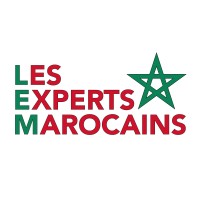 Les Experts Marocains logo - Similar company to Moocit