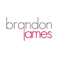 Brandon James logo - Similar company to Scaleasy