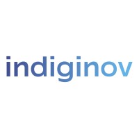 indiginov logo - Similar company to Evolution 42