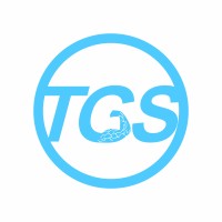 The Gym Setup logo - Similar company to Fittcube Gym