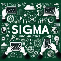 SIGMA INFO ANALYTICS DATA logo - Similar company to Triaset