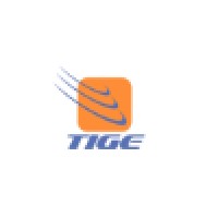 TIGE Tecnologia, Informação e Gestão Empresarial Ltda. logo - Similar company to Jps Engcon