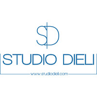 Studio Dieli logo - Similar company to Hi-Tech Outlet