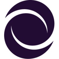 Netloop logo - Similar company to Smartinsys