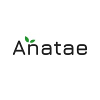 Anatae logo - Similar company to Milia Matcha
