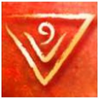 DJODEM logo - Similar company to Aerial Drone System