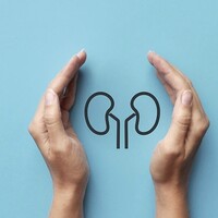 K Is For Kidneys