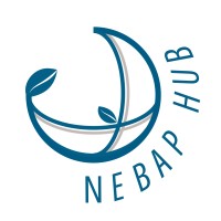 NEBAP Hub logo - Similar company to Neb Academy
