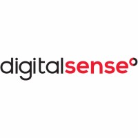 Digital Sense Lithuania logo - Similar company to Solanax