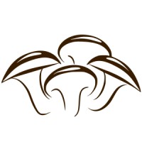 PT Indofungi Lestari Bali logo - Similar company to Nice