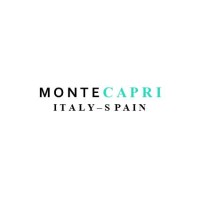 Montecapri logo - Similar company to Relojes Micro