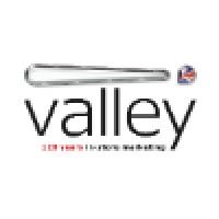 The Valley Group India logo - Similar company to Networkbay Retail