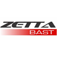 Zettabast logo - Similar company to Wsystems