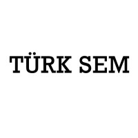 Türk SEM logo - Similar company to Leo Diş Ti̇caret A.Ş.