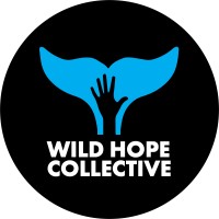 Wild Hope Collective logo - Similar company to Tangled Bank Studios